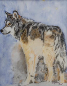Kuna 8" x 10" $275 Photo Credit: Yamnuska Wolfdog Sanctuary