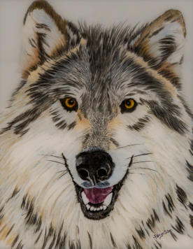 Lark 8" x 10" $275 Photo Credit: Yamnuska Wolfdog Sanctuary